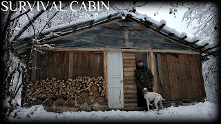 MY SURVIVAL OFF GRID CABIN - 5 DAYS LOST IN THE WOODS - HD VIDEO