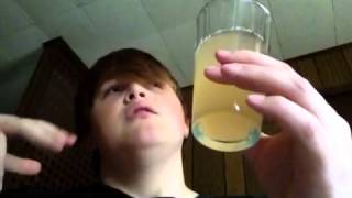 Bluespecs Beer Reviews Bud Light Lime-A-Rita