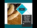 Sentricon Termite Control Oakhurst NJ 2020 732-504-3758 Ozane.com