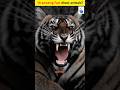 10 Amazing Fact About the Animals? FULL VIDEO CHANNEL ME | #animals #animalday #theanimalsobservato