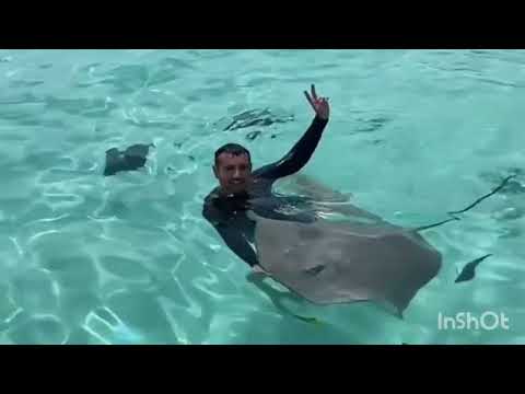 Французская Полинезия 🇵🇫🇵🇫🌴🌴🌴☘🍀🌿🍋🍊🥝🥑🥥🍌🍍🍍🏞🏝🏝🏖🏖🐬🐳🐠🐡🦈🐙🦀🐚🦑🦐