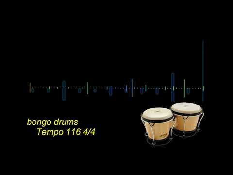 bongo-drums-tempo-116-4/4