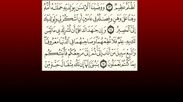 TAFSIIRKA:◇:سورة لقمان من ١٤-١٥:◇:SH:-MAXAMAD CABDI UMAL حفظه الله