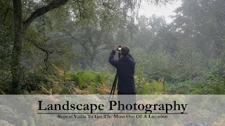 Landscape Photography | Woodland Wanders - Working A Small Area