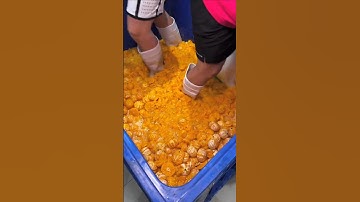 How orange juice is made in a factory. || #shortsvideo #shortsfeed