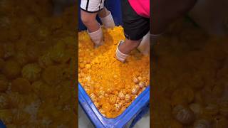 How Orange Juice Is Made In A Factory.