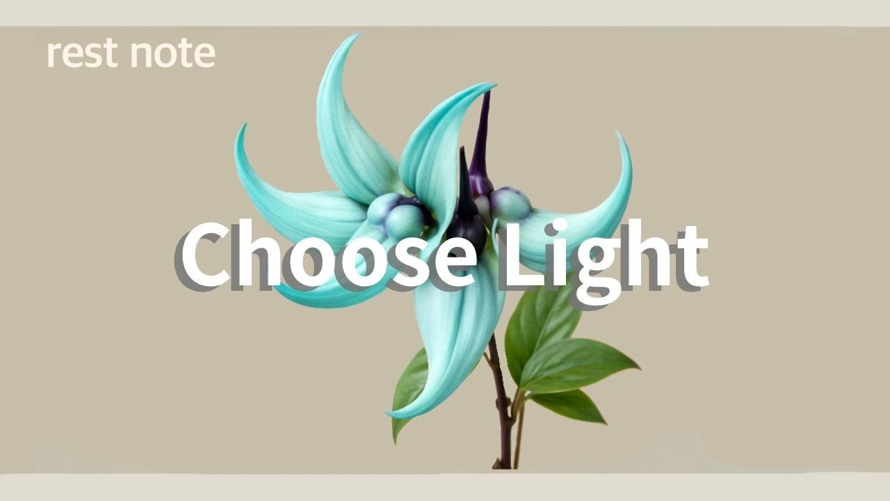 Choose Light｜光を選ぼう｜Playlist chill house  lo-fi