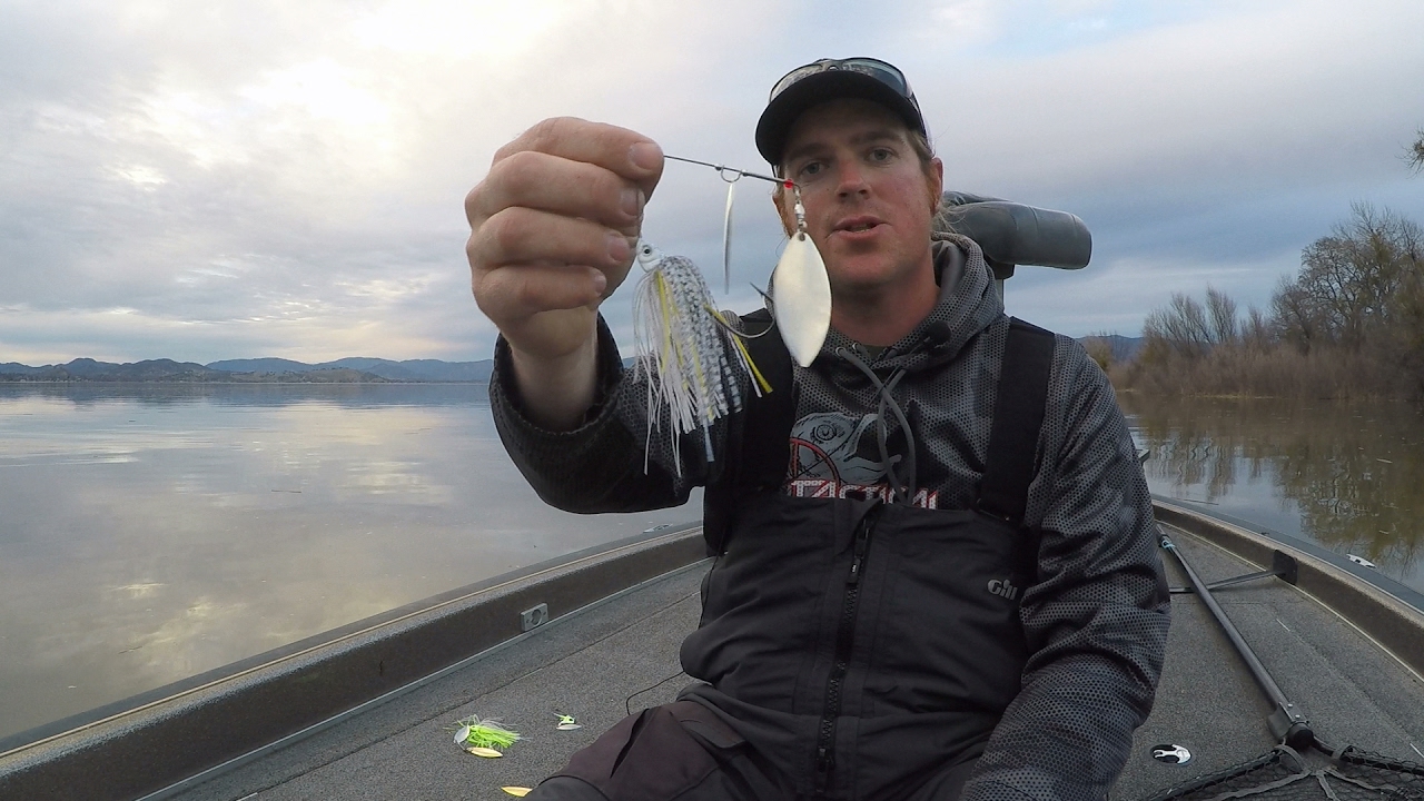 Which Lure Colors Should You Fish With This Spring? 