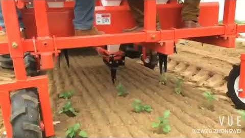 3-row pepper seedling transplanter vegetable transplanter