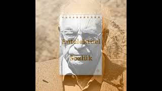 Anadolunun Efsanevi Hikâyecisi: Yaşar Kemal Ve İnsanlık Destanları