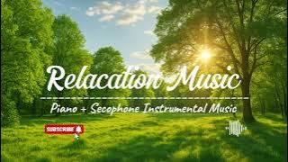 Musik Instrumen | Teman Untuk Menenangkan Pikiran Dengan Nada Yang Tenang