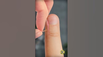 No lo hagas! 😵‍💫 #curiosidades