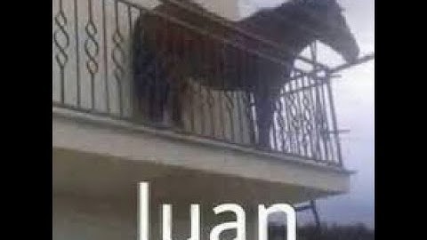 TUTORIAL EPICO DE PROYECTO DE ESP32 Y ARDUINO SOBRE TEMPERATURA Y GAS😎