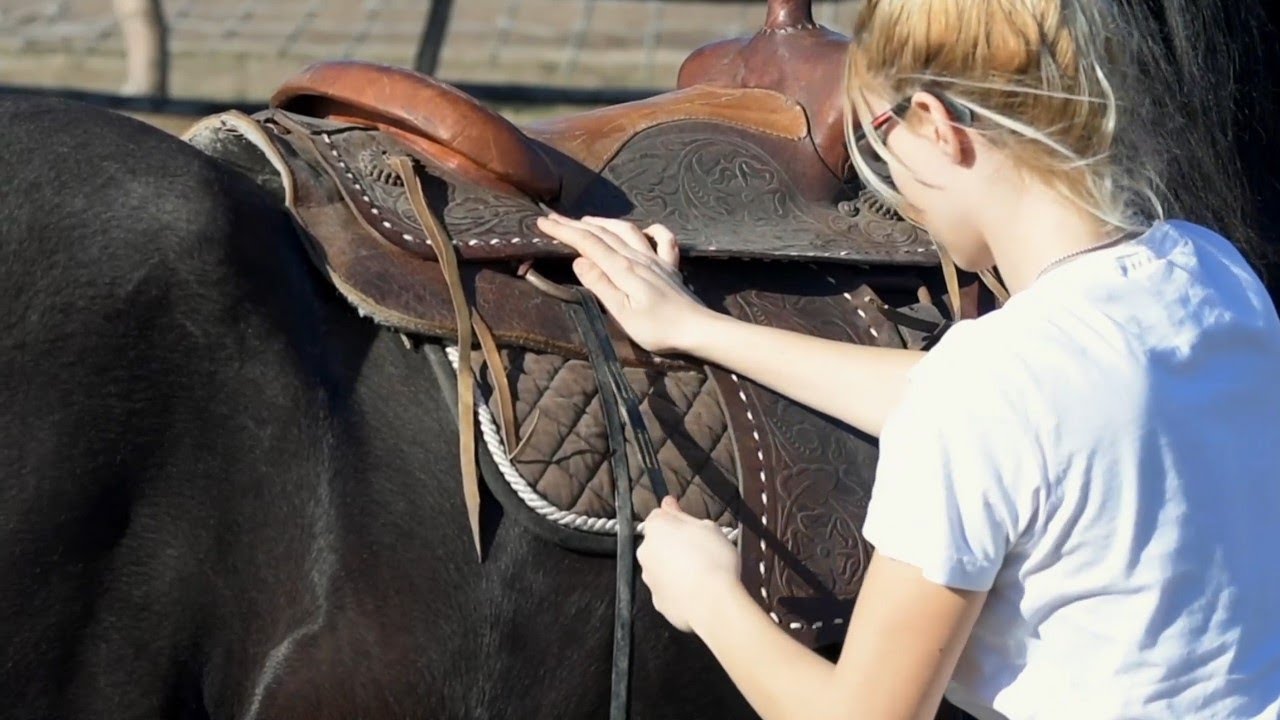 How to Saddle a Horse YouTube