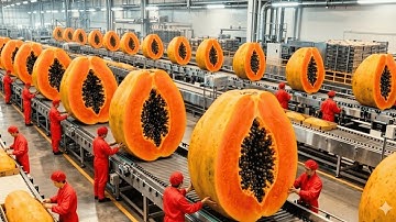 Inside the Modern Raspberry Factory: From Field to Dessert (The Whole Process)