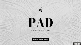 PAD + Reverse em E - C#m (10 minutos - PAD contínuo)