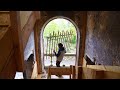 Dismantling the grand entrance arched window