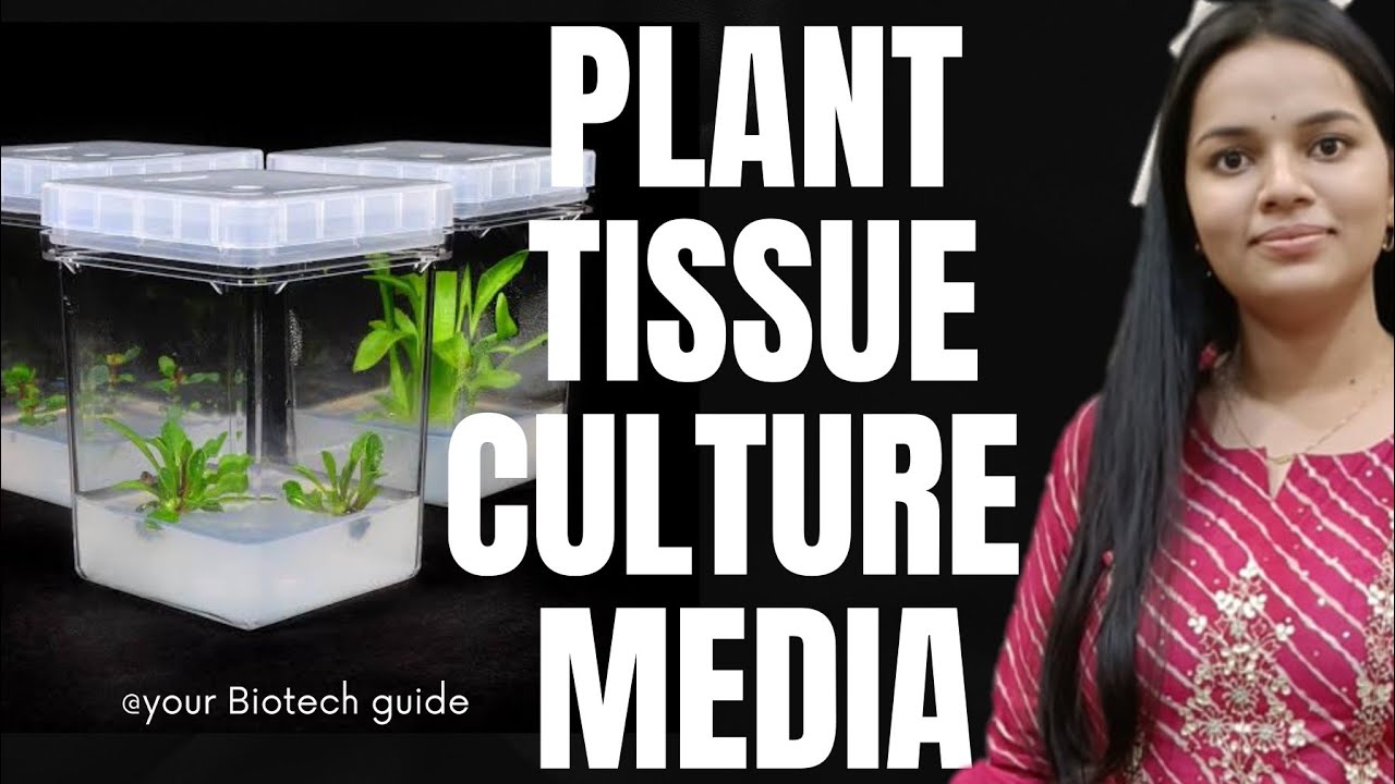 Plant tissue culture media: composition and types (detailed video ...