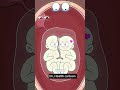 “How Do Conjoined Twins Actually Form? 🤯”