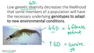 BIO178 Week 9 Conservation Genetics: Genetic Diversity
