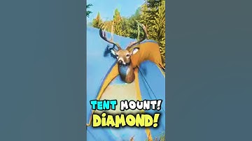 WHOSE LAUGHING NOW?🤣The Hunter: Call of the Wild