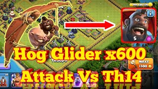 Hog Glider x600 Attack Vs Th14 | Clash of clans