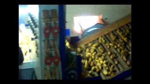 Γραμμή Διαλογής, Συσκευασίας Πατάτας - Potatoes packing line_Novatec