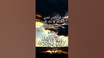سورة يس الآية ٣٦ الى ٤٠ بصوت الشيخ محمد أيوب