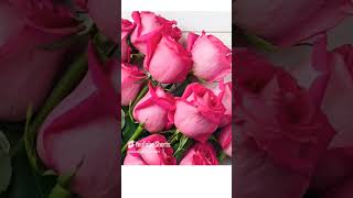 Download Lagu ya hayu ya qayum#trending #islamicchannel3003#1million #youtubeshorts MP3 Download Lagu ya hayu ya qayum#trending #islamicchannel3003#1million #youtubeshorts MP3
