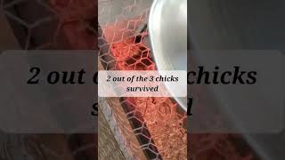 they are doing well!