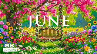 Peaceful June 8K 🌸 Relaxing Piano Music – Late Spring Gardens & Soft Morning Light screenshot 3