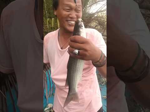 IKAN BELANAK BABON MEMANG JOS #mancing #ikanbelanak #short