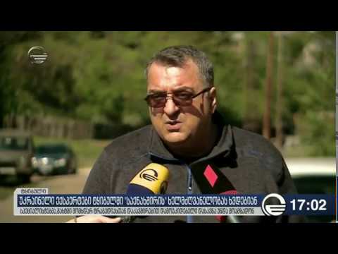 უკრაინელი ექსპერტები ტყიბულში საქნახშირის ხელმძღვანელობას ხვდებიან