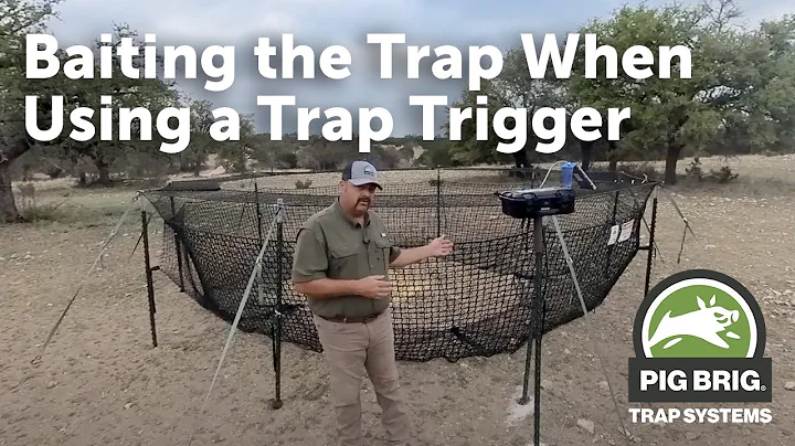 Baiting the Trap When Using a Trap Trigger | Pig Brig Trap Systems