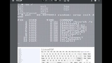 Linux running in a PDF file