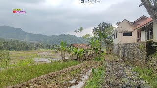 Lagu Pop Sunda Bubuy Bulan No Copyright