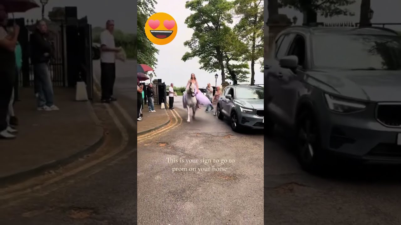 She Went To Prom On A Horse And Stunned Everyone Viralshorte Shorts