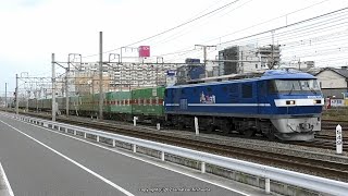 《JR貨物》全般検査明け半月後のEF210 115号機が牽引する59レ貨物列車(R3.9.30)
