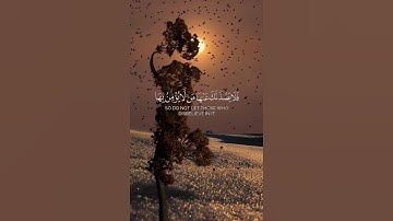 قرآن كريم بصوت جميل #quran #اكسبلور #المصحف #قران_كريم #راحة_نفسية