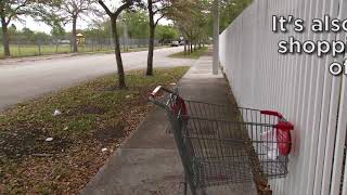 Details Illegal Shopping Carts 311 - English Update