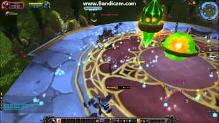 Quick Guide how to lvl as warlock in Blood Elf Areas.