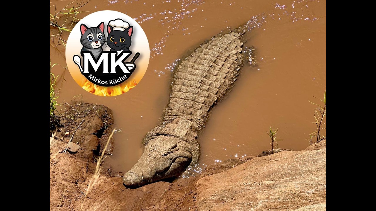 Afrika Nr.7  Lodges, Zeltcamps im Amboseli- und den Tsavo Nationalparks & Barbecue am Diani Beach