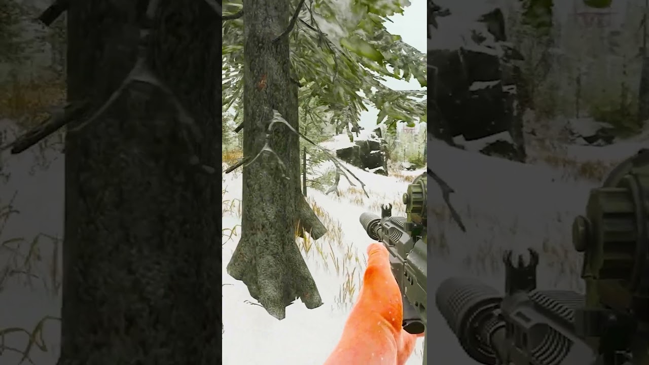 Лесники #escapefromtarkov #tarkov #shorts