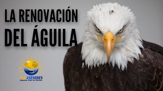 La Renovación del Águila en HD  ELG ASESORES  LATINOAMERICA 2023  Video Motivacional de Impacto