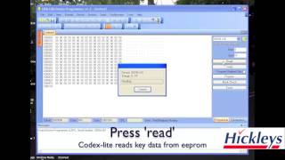 Codex Lite