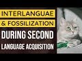 Interlanguage and Fossilization in Second Language Acquisition