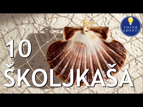 Video: Razlika Između Mekušaca I Iglokožaca