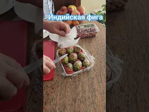 Едим кактус, плоды кактуса. Научу как надо чистить "Сабр" индийскую фигу #кактус #Фига #плодыкактуса
