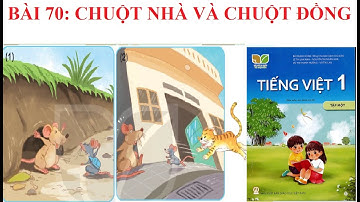 [Kể chuyện lớp 1] Bài 70: Chuột nhà và chuột đồng | Sách Kết nối tri thức với cuộc sống.