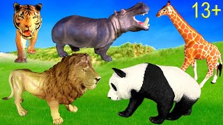 Big Cat Week 2020 - Zoo Animals - Lion, Tiger, White Lion, White Tiger, Hippo, Giraffe, Panda 13+